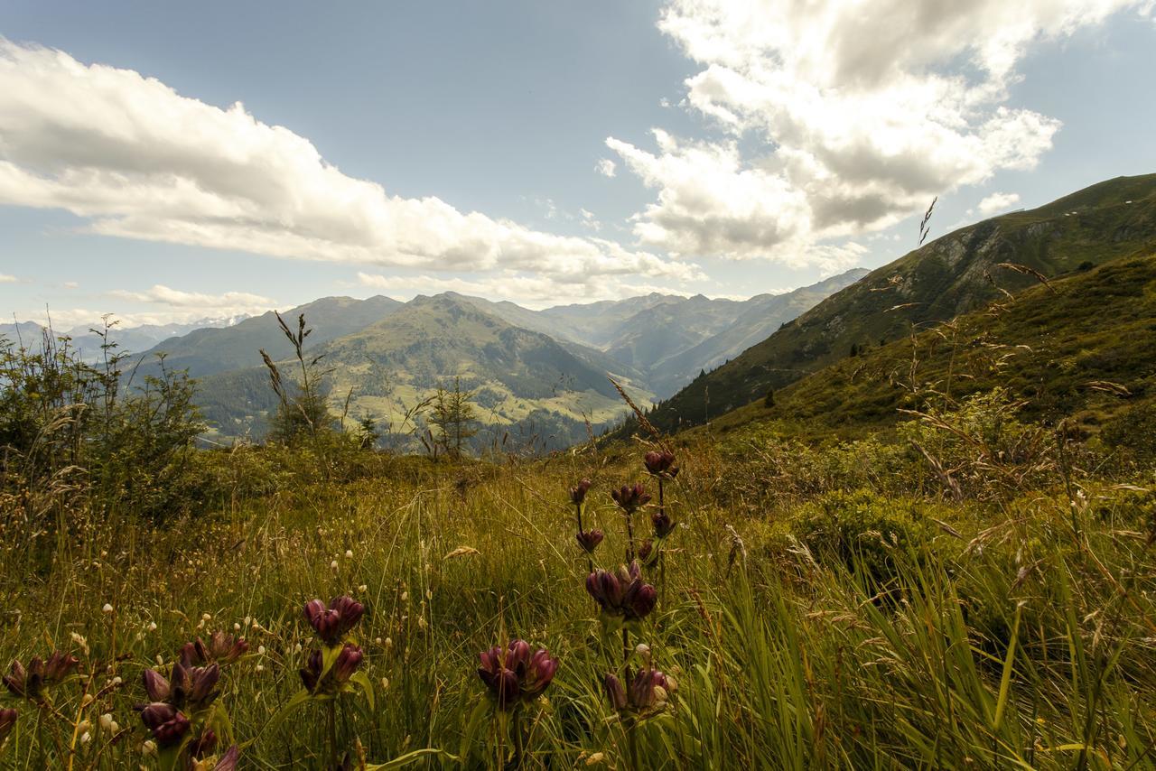 Apart Sprenger Fugen Im Zillertal Apartment Екстериор снимка