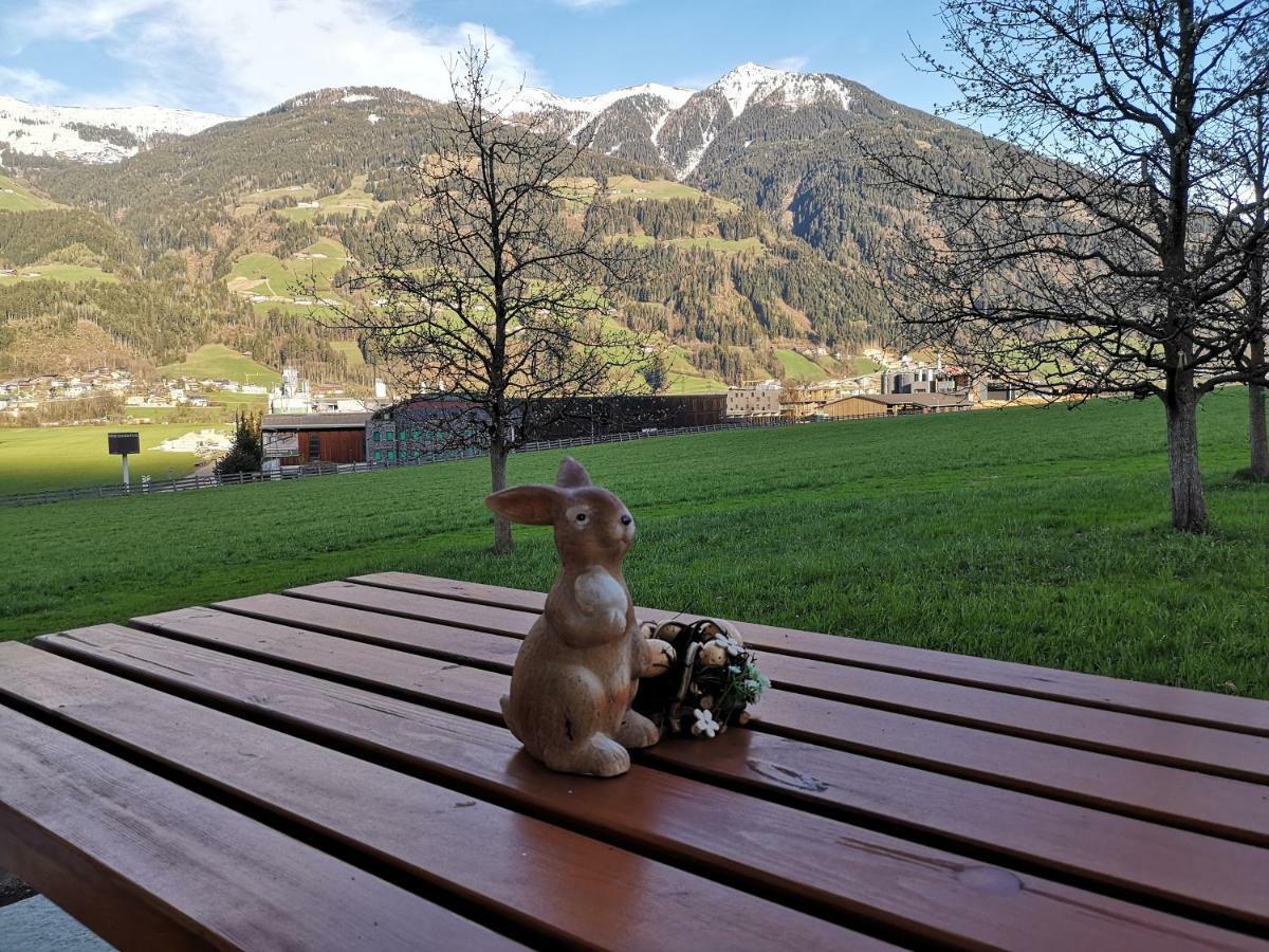 Apart Sprenger Fugen Im Zillertal Apartment Екстериор снимка