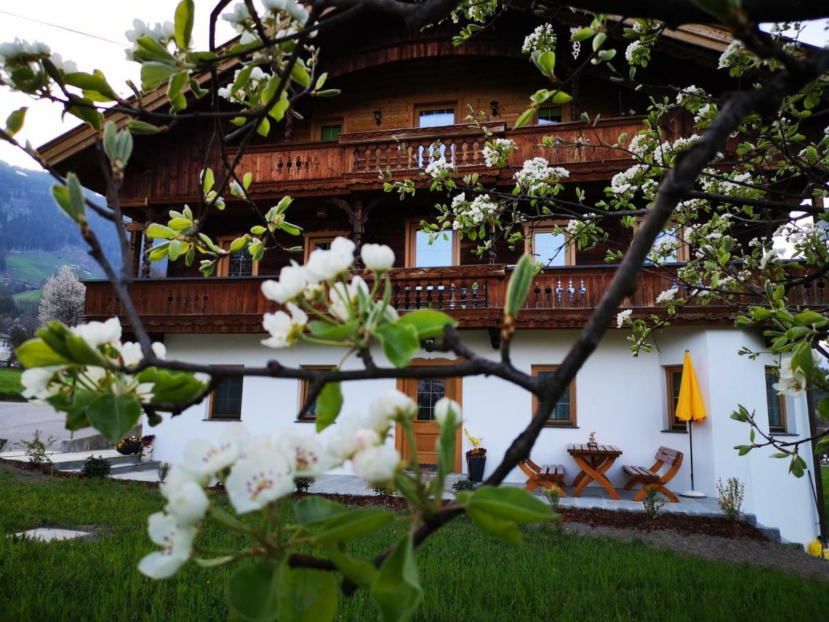 Apart Sprenger Fugen Im Zillertal Apartment Екстериор снимка